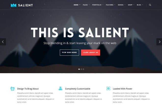 Plantilla WordPress premium Salient